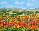 Tulipani