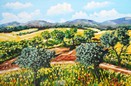 La collina: meriggio estivo.