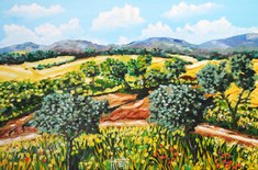 La collina: meriggio estivo.